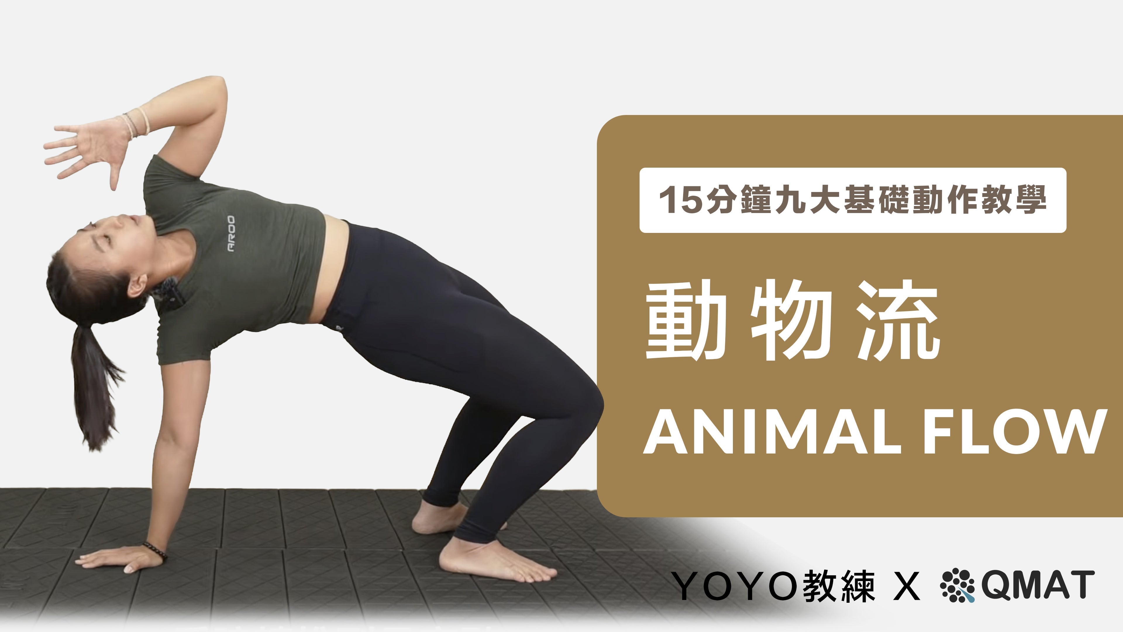 動物流 Animal flow：九大基礎動作教學